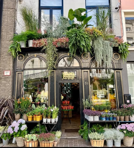 Bloemen van Cornelis