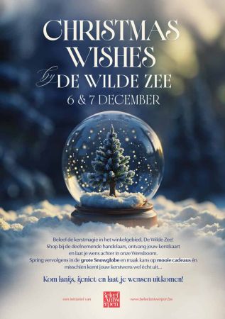 Christmas Wishes by De Wilde Zee